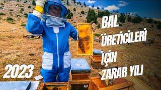 2023 Bal Üreticileri İçin Zarar Yılı | Arıcılık Para Kazandırır mı?