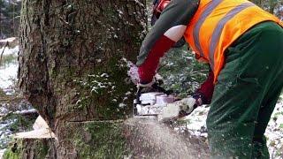 Przystanek Bieszczady - już dziś odcinek 2!