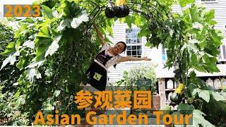 参观美国农家乐10个菜床10个拱门 Asian Garden Tour 10 garden beds + 10 cattle panels