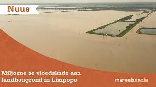 Miljoene se vloedskade aan landbougrond in Limpopo