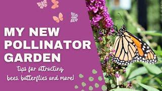 My NEW Pollinator Garden!