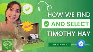 How Do We Find & Select Timothy Hay? (Sourcing the BEST Rabbit Hay)