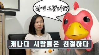 캐나다 사람들 인성 무엇? feat.미쿡사람들