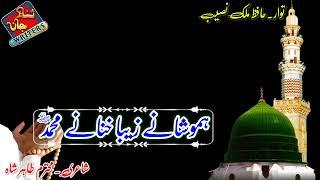 New Birhavi naat status|| Malik Naseeb Naat //Status Ns