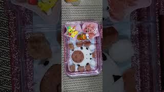 Bento Baon Ideas for Kids #bentoideas #bento #bentoboxlunchideas  #lunchideas #angrybirds