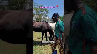 IAM MARWA WITH HIS HORSES @ VILLA MEDELLIN #iammarwa #iammarwalatest #horse #travel