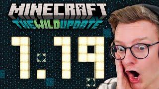 ALLES was du über die 1.19 wissen musst! Minecraft Wild Update Zusammenfassung!