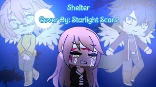 Shelter (Cover By: Starlight Scars)