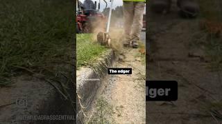 The Process, welcome to BermudaGrass Central