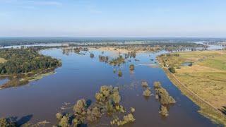 Hochwasser an der Oder | Lage in Frankfurt und Lebus