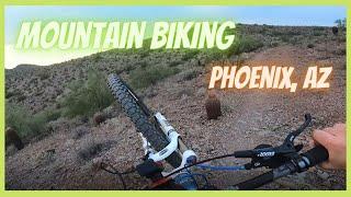 Living outdoors in Arizona | Mountain biking Phoenix's TRAIL 100