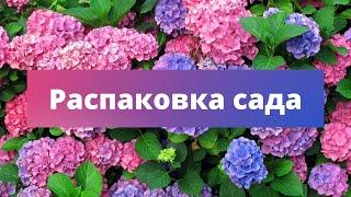 УДАЧНЫЙ ОПЫТ | Формируем САД вместе с ЗаказВсад