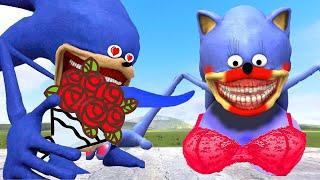 NEW SHIN SONIC TAPES FALLS IN LOVE! THE SONIC TAPES ANIMATION In Garry's Mod!