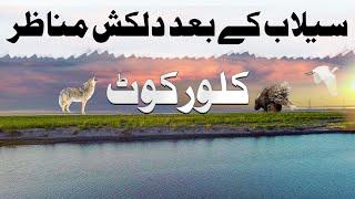 Indus River Dessert Beauty in Kallurkot District Bhakkar Punjab Pakistan