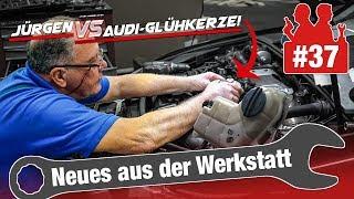 Jürgen am Limit - allein gegen die Audi-Glühkerze! 45 Jahre Erfahrung vs. drohende Kostenexplosion