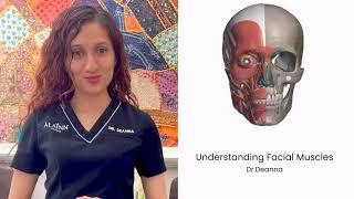 Understanding Facial Muscles (for EMFACE treatment)