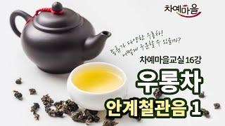 우롱차 안계철관음 구별방법과 종류별 차시음까지! ｜ 차예마을교실 16-1강