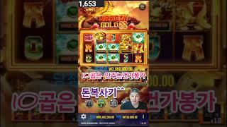 쓸어담는 타이밍이야~!! #슬롯 #slot #슬롯실시간