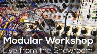 Modular Workshop - Live @ Analogue Zone Showroom E02