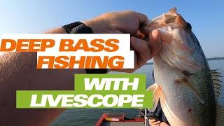 LIVESCOPE FOR  DEEP WATER BASS!