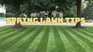 SPRING LAWN TIPS