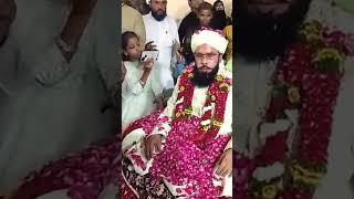 Hazrat Sufi Ismail Hasan Ashrafi Sb ️ #ashrafi #viralvideo #murshid #peer