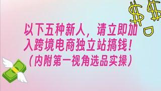 这五种新人，请立即加入跨境电商独立站搞钱！内附选品实操演示！（上）