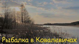 Рыбалка в Ковалевичах. Новый водоем. Знакомство с водоемом. Пробуем ловить карпа