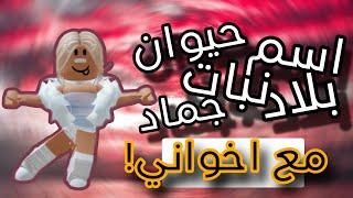 سويت تحدي( اسم حيوان نبات جماد بلاد )مع اخواني و الي يفوز يربح روبوكس! * انجلطت من غبائهم *