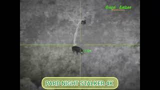 PARD NIGHT STALKER 4K - Tiro a Javali 332mt