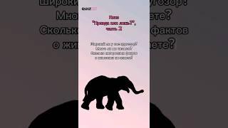 Правда или ложь? #квиз #викторина #quiz #квизонлайн #игра