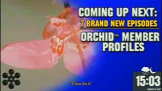 ORCHID (오키드) : COMING UP NEXT