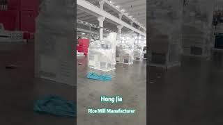 Most Reliable Rice Mill Supplier from China -Hongjia Grain Machinery Co., Ltd. #ricemill
