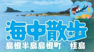 2022夏海中散歩　島根県松江市島根町桂島　＃シュノーケリング　＃海水浴　＃海遊び