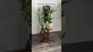 Amazon Indoor Plant Stand Collection