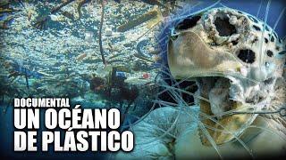 Un Océano de plástico - Contaminación Ambiental - Documental