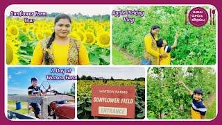 Apple Picking in Canada||Visiting Sunflower field in Ontario||Watson Farm @ Bownmanville|Travel Vlog