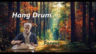 hangdrum ahmadzadeh   original music   forest 2023 2