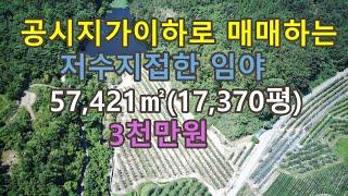 공시지가이하로 매매하는 급매물 임야입니다.(가격인하,재업,2024.9.6촬영본) #의성부동산 #싼땅#시골땅#경북땅#촌땅#공시지가#임업경영체