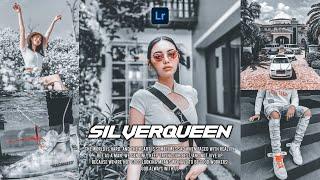 Lightroom Mobile Presets | SilverQueen Presets / Gray Presets | Urban Presets - DNG - XMP Presets