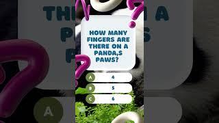 How many fingers are there on a panda's paws? #shorts #quiz