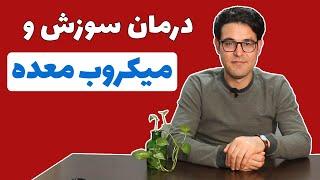 میکروب معده | درمان میکروب معده | هلیکوباکتری معده | درمان هلیکوباکتر پیلوری | درمان سوزش معده