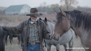 Vanishing Knowledge | Deleted Scene Frank Kuntz with Nokota Horses