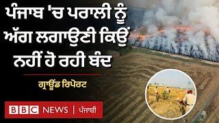 Punjab 'ਚ Stubble Burning ਹਾਲੇ ਵੀ ਕਿਉਂ ਜਾਰੀ ਹੈ, ਸਰਕਾਰ ਤੇ ਕਿਸਾਨਾਂ ਦੇ ਕੀ-ਕੀ ਤਰਕ  | 𝐁𝐁𝐂 𝐏𝐔𝐍𝐉𝐀𝐁𝐈