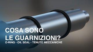 Cosa sono e come funzionano le Guarnizioni - O-ring - Oil Seal - Tenute meccaniche