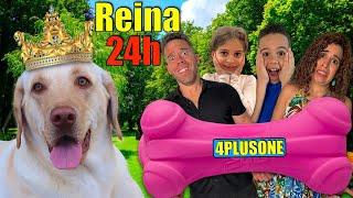 Nuestra perrita MAGGIE es REINA por 24H|4PLUSONE