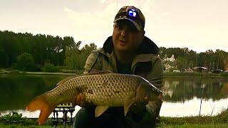 Carp fishing , карп на флэт, секреты и советы.