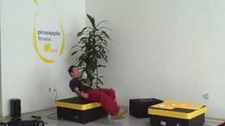 Pineapple Fitness Education 1.1