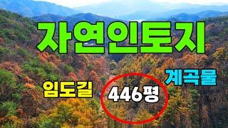 (추천매물)산속에 계곡물흐르는 임도길 자연인토지 작은땅 소형토지매매!#작은임야#자연인토지#자연인소형토지