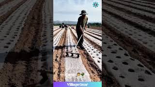 This Farmer's DIY Planter is Next Level Genius!  Planting Season Vibes!  #farming #diy #lifehack